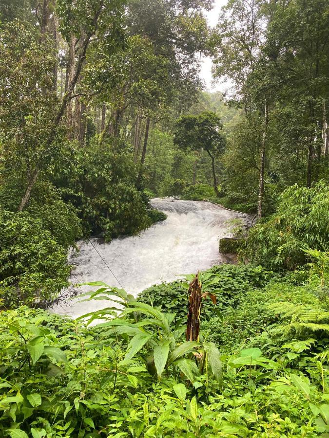 Flower Valley Plantation Homestay Munnar Εξωτερικό φωτογραφία